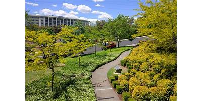 Representative image of Baulkham Hills