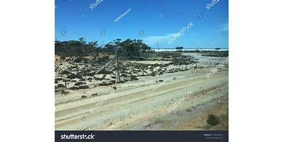 Representative image of Beechboro