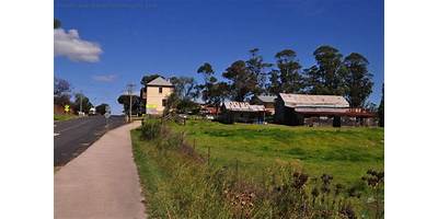 Representative image of Bega
