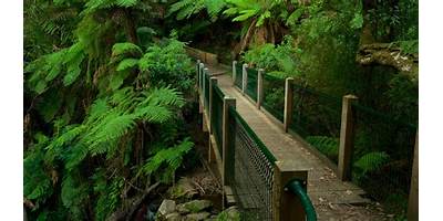 Representative image of Belgrave