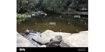 Representative image of Belrose