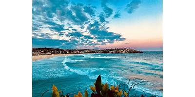 Representative image of Bondi