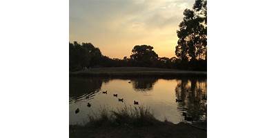 Representative image of Bundoora