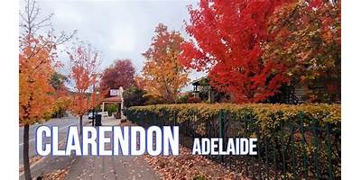 Representative image of Clarendon