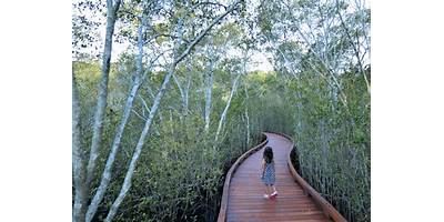 Representative image of Coombabah