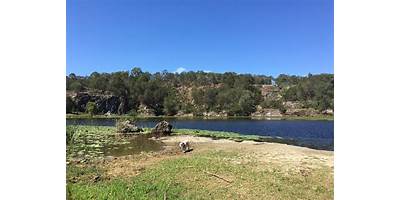 Representative image of Daisy Hill