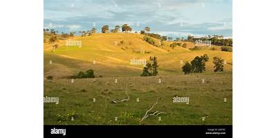 Representative image of Dungog