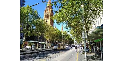 Representative image of Fitzroy