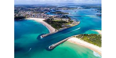 Representative image of Forster