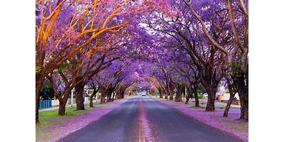 Representative image of Grafton