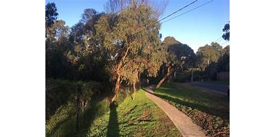 Representative image of Greensborough