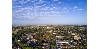Representative image of Griffith