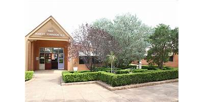 Robert Townson High School