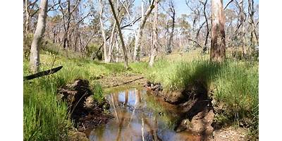 Representative image of Kersbrook