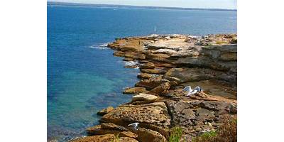Representative image of La Perouse
