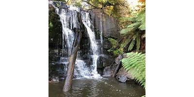 Representative image of Lilydale