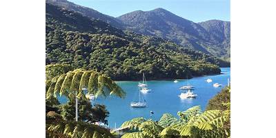 Representative image of Marlborough