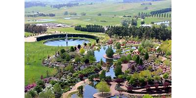 Representative image of Mayfield