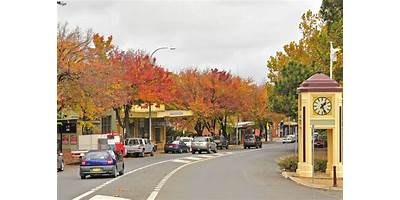 Representative image of Moss Vale