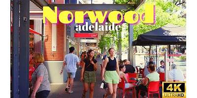 Representative image of Norwood