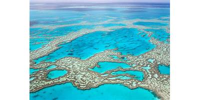 Representative image of Ocean Reef