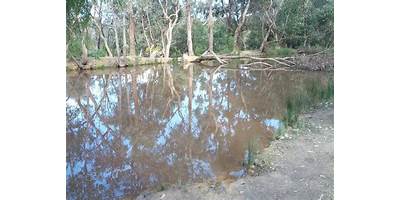 Representative image of Park Orchards