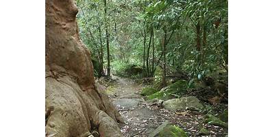 Representative image of Pennant Hills
