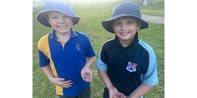 Abermain Public School