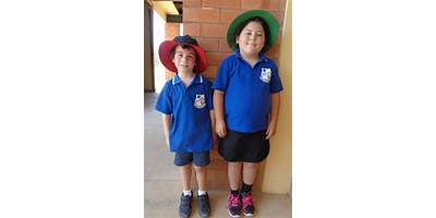 Aramac State School