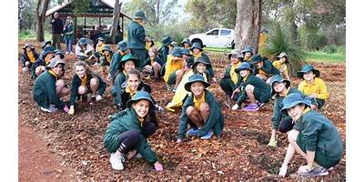 Ardross Primary School