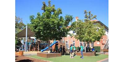 Auburn South Primary School