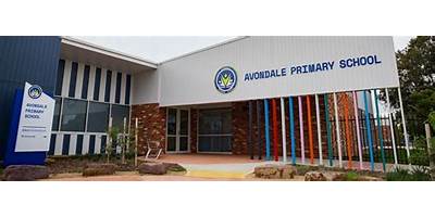 Avondale Primary School