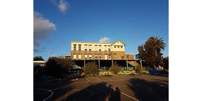 Banksmeadow Public School