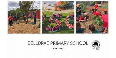 Bellbrae Primary School