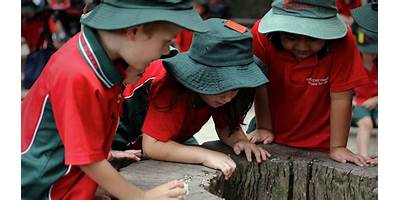 Benowa State School