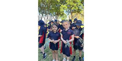 Berri Primary School