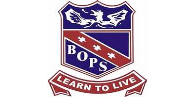 Bert Oldfield Public School