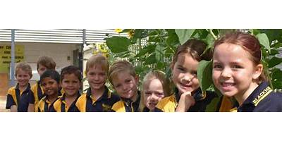 Blackwater North State School