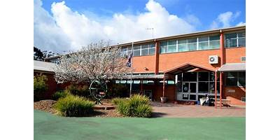 Blackwood Primary School
