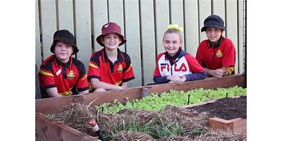 Bundaberg North State School
