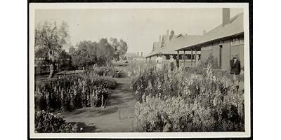 Burke Ward Public School