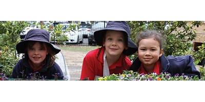 Camberwell Primary School