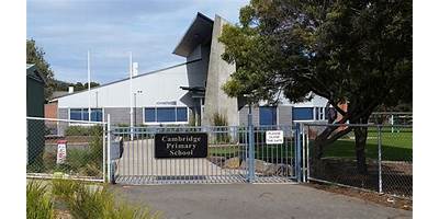 Cambridge Primary School