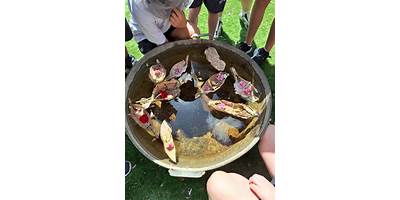 Camden Park Environmental Education Centre