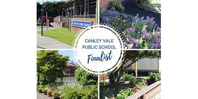 Canley Vale Public School
