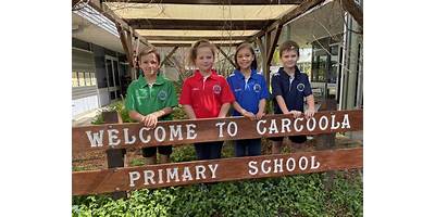 Carcoola Primary School