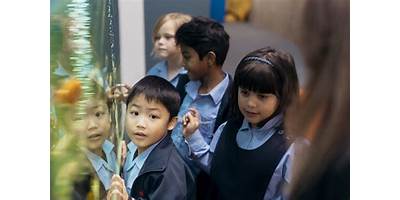 Christ the Priest Catholic Primary School