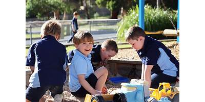 Coldstream Primary School