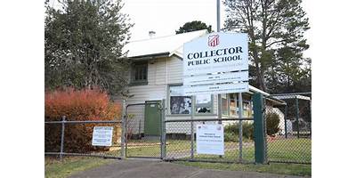 Collector Public School