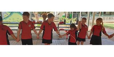 Comet State School